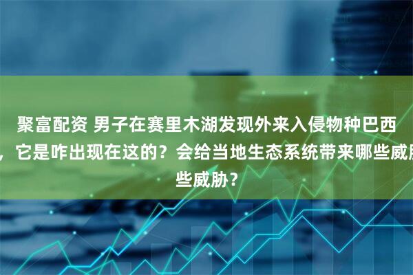 聚富配资 男子在赛里木湖发现外来入侵物种巴西龟，它是咋出现在这的？会给当地生态系统带来哪些威胁？