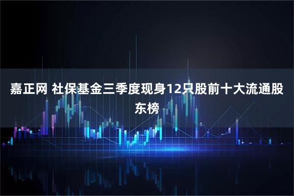 嘉正网 社保基金三季度现身12只股前十大流通股东榜